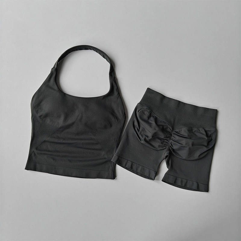 Seamless Solid Spandex/Nylon Yoga Set Women's Shorts and Sports Vest