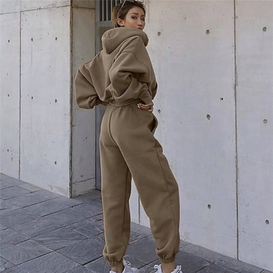 Women's Autumn Hooded Terry Sweatshirt and Pants Two-Piece Set