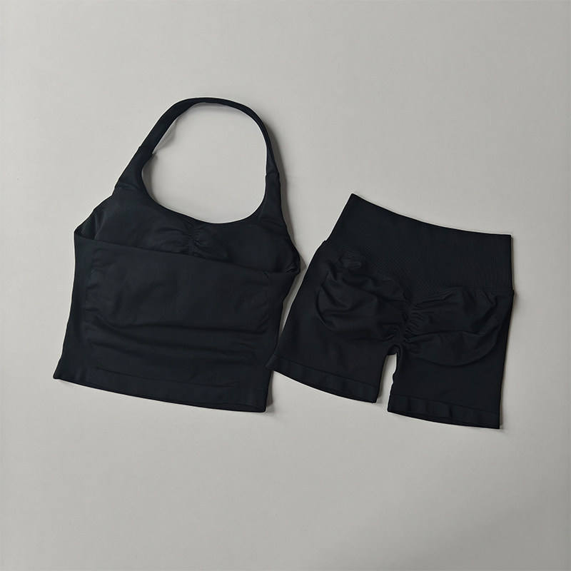 Seamless Solid Spandex/Nylon Yoga Set Women's Shorts and Sports Vest